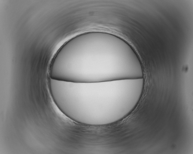 X0000111931531200907271301