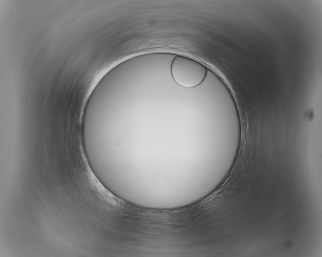 X0000111931532200907271301