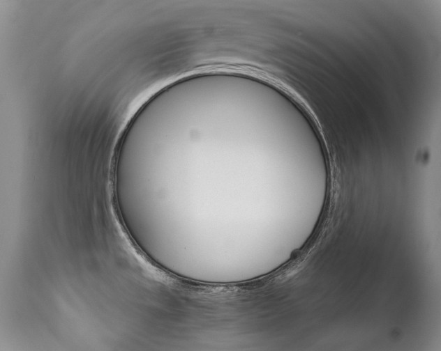X0000111931533200907271301