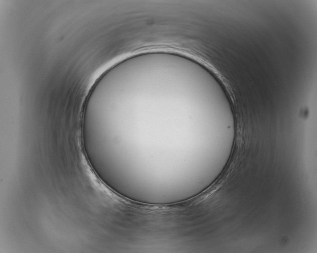 X0000111931534200907271301