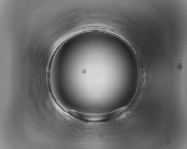 X0000111931535200907271301