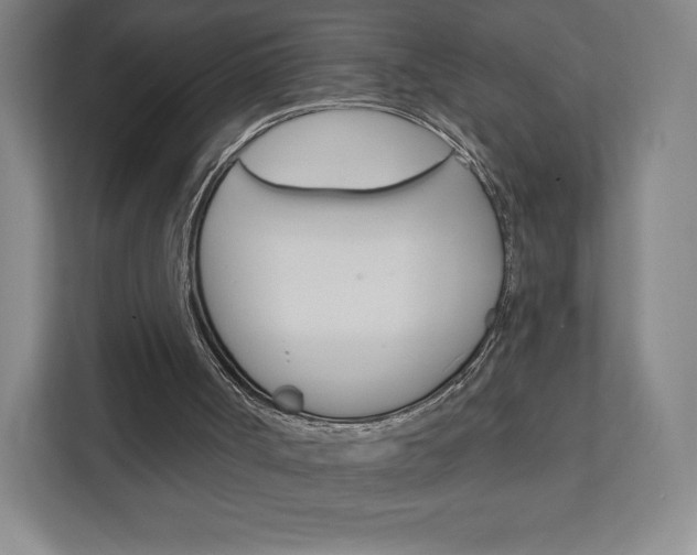 X0000111930002200908031127