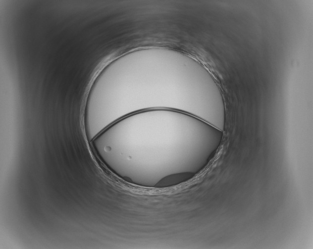 X0000111930003200908031127