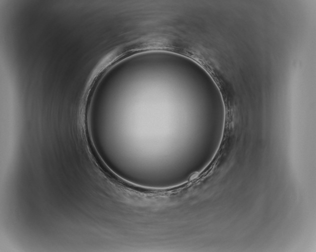 X0000111930004200908031127