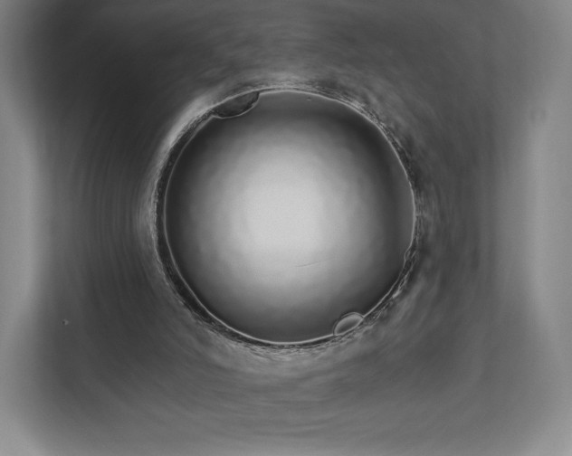 X0000111930006200908031127