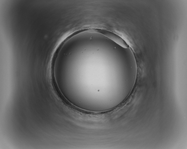 X0000111930008200908031127