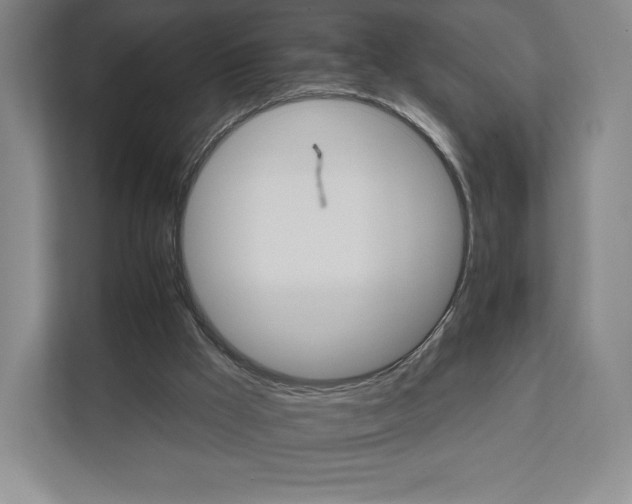 X0000111930009200908031127