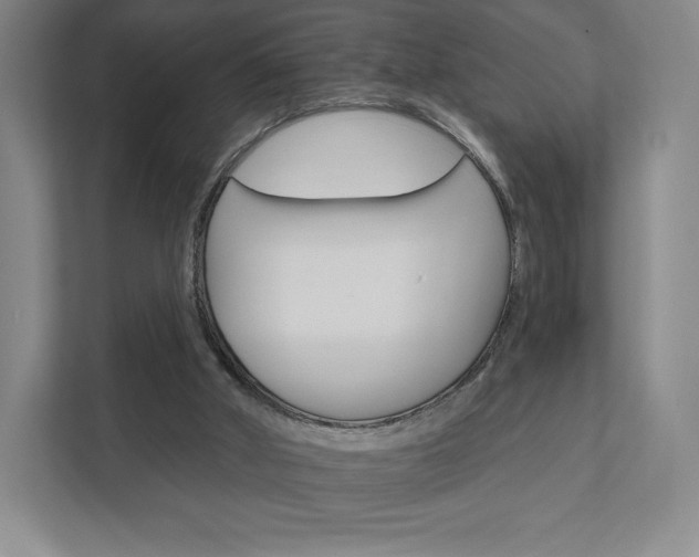 X0000111930010200908031127