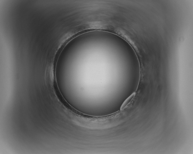 X0000111930011200908031127