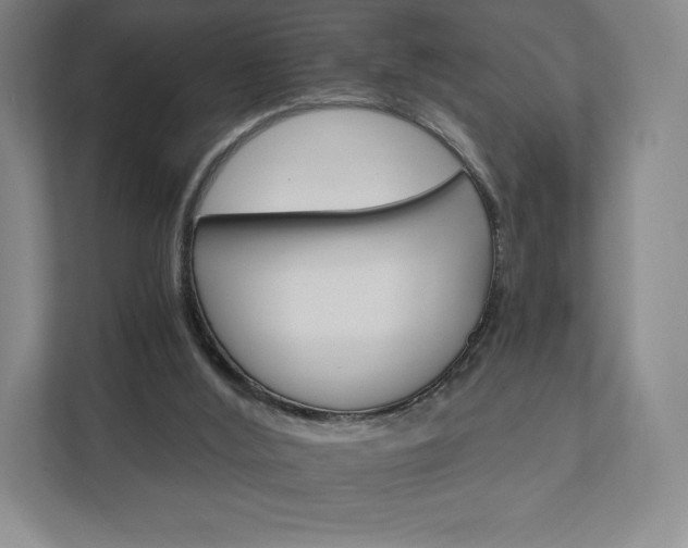 X0000111930012200908031127