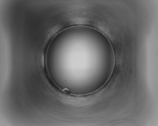 X0000111930014200908031127