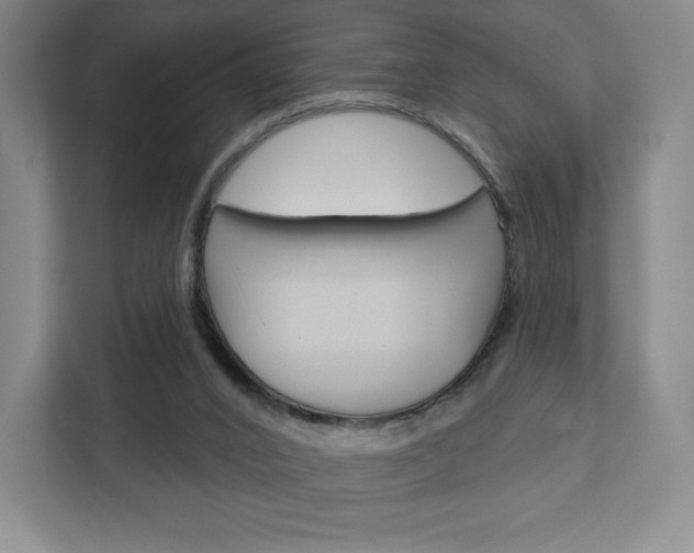 X0000111930016200908031127