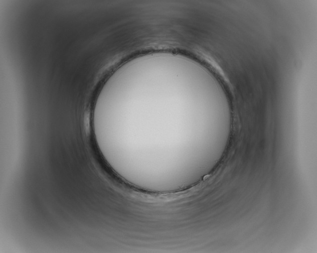 X0000111930019200908031127