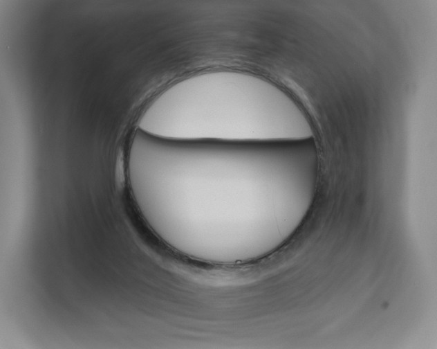 X0000111930020200908031127