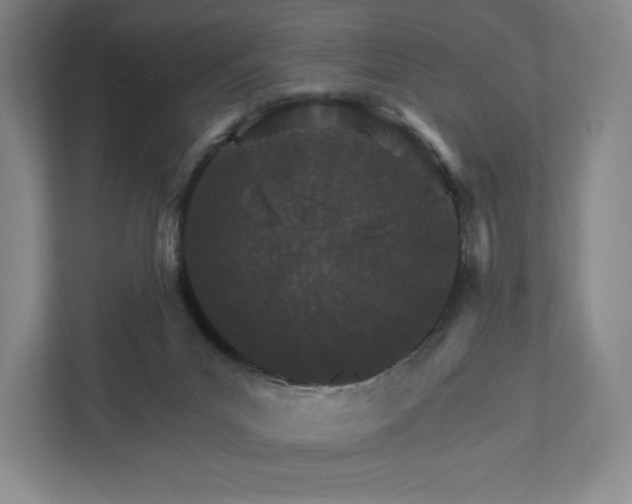 X0000111930023200908031127