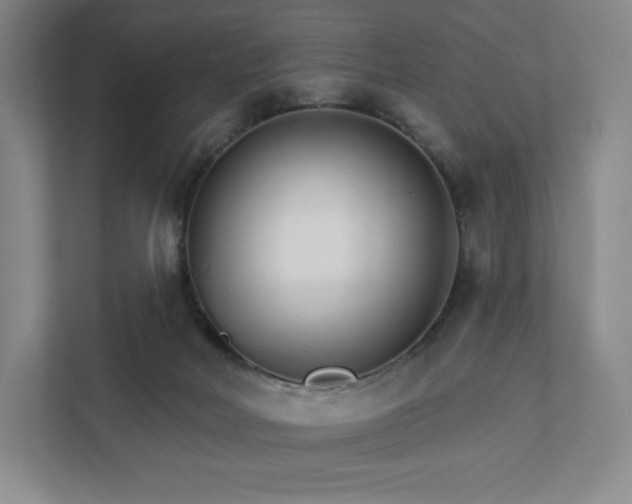 X0000111930026200908031127