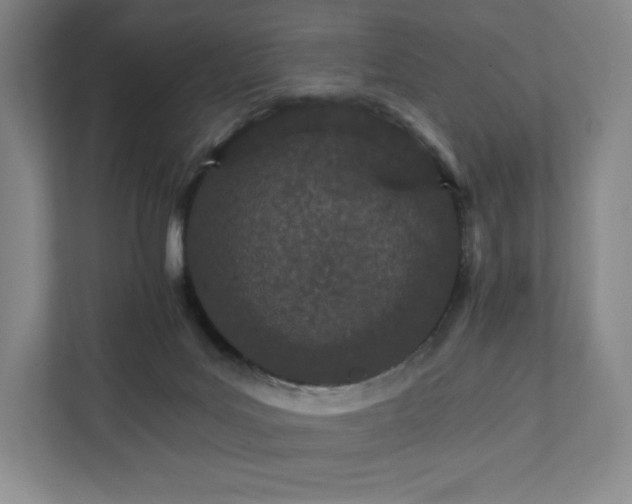 X0000111930027200908031127