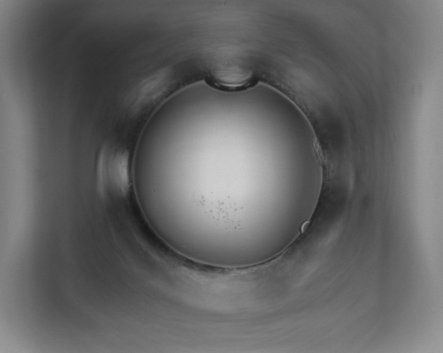 X0000111930028200908031127