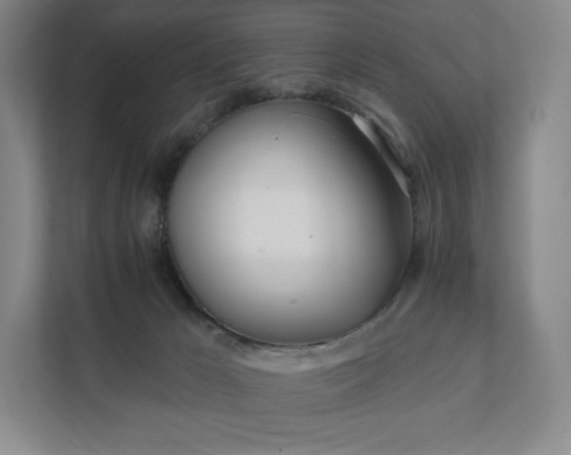 X0000111930029200908031127