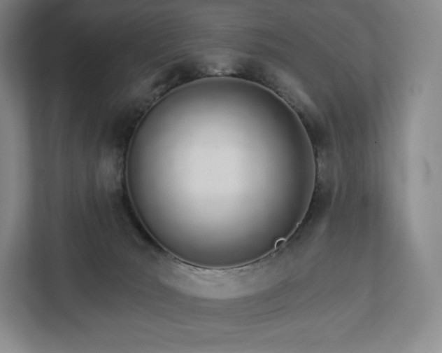 X0000111930030200908031127