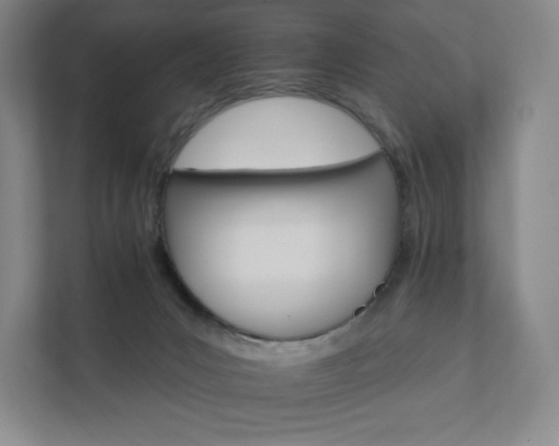 X0000111930031200908031127