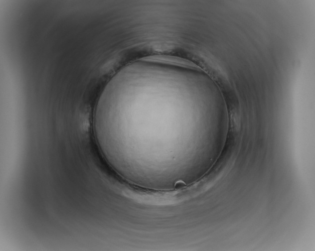 X0000111930032200908031127