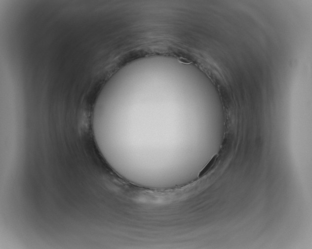 X0000111930033200908031127