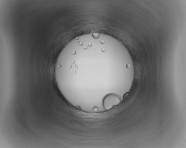 X0000111930034200908031127