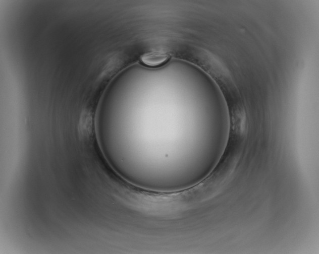 X0000111930036200908031127