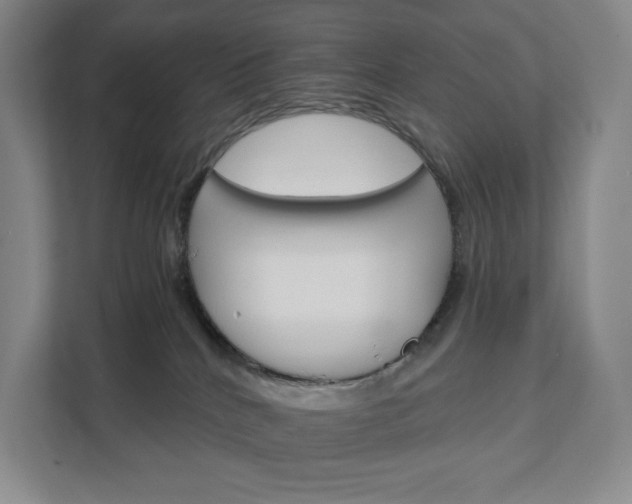 X0000111930040200908031127