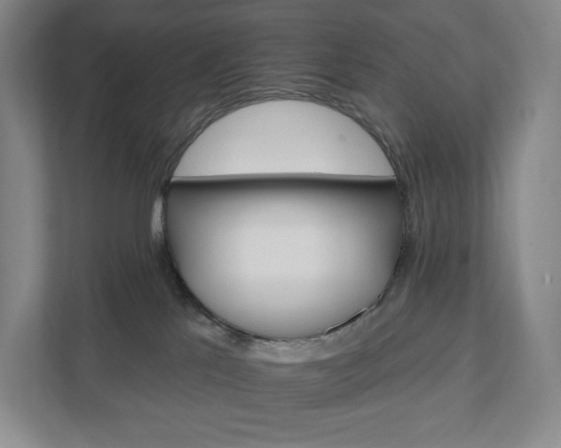 X0000111930041200908031127