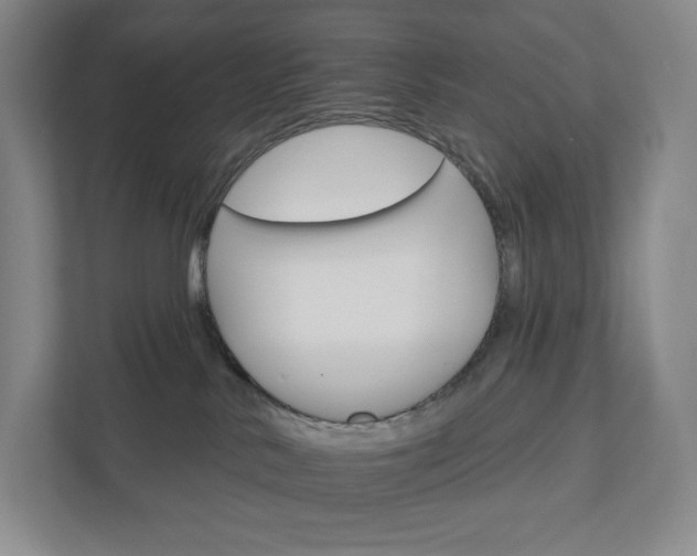 X0000111930042200908031127