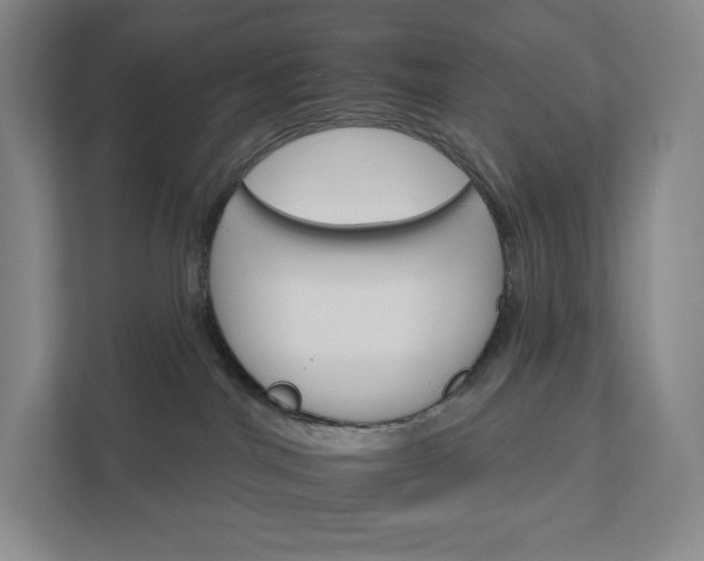 X0000111930044200908031127