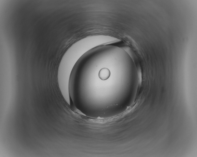 X0000111930045200908031127