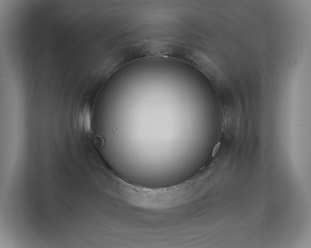 X0000111930046200908031127