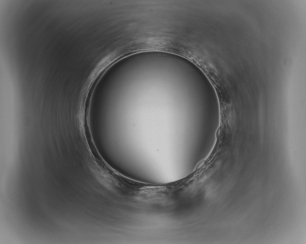 X0000111930051200908031126