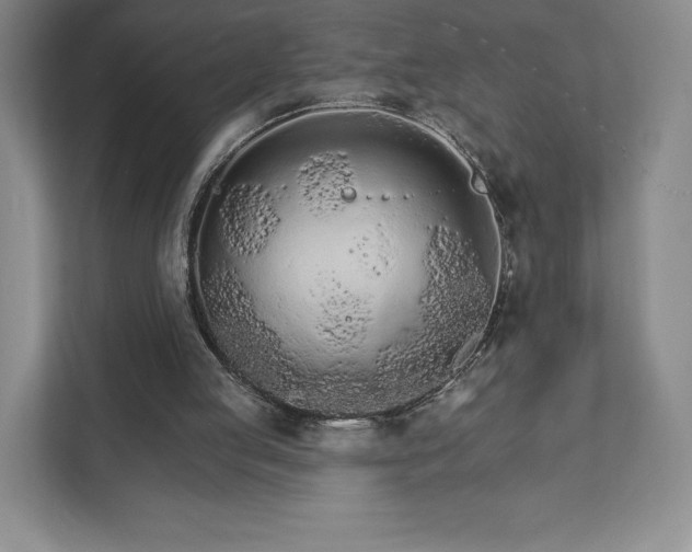 X0000111930053200908031126