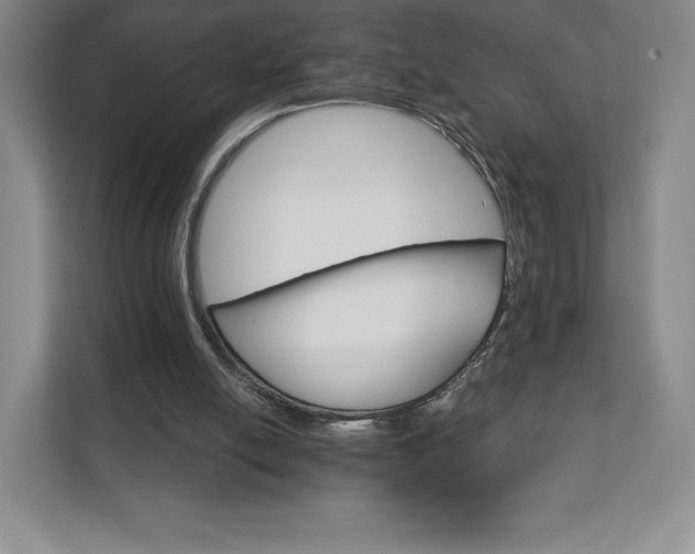 X0000111930054200908031126