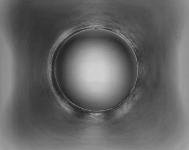 X0000111930055200908031126