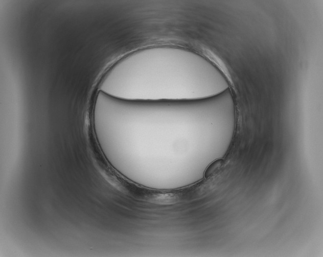 X0000111930059200908031126