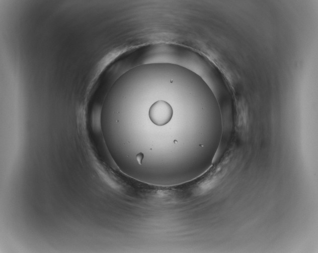 X0000111930060200908031126