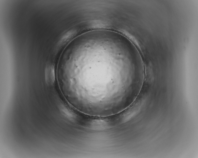 X0000111930061200908031126