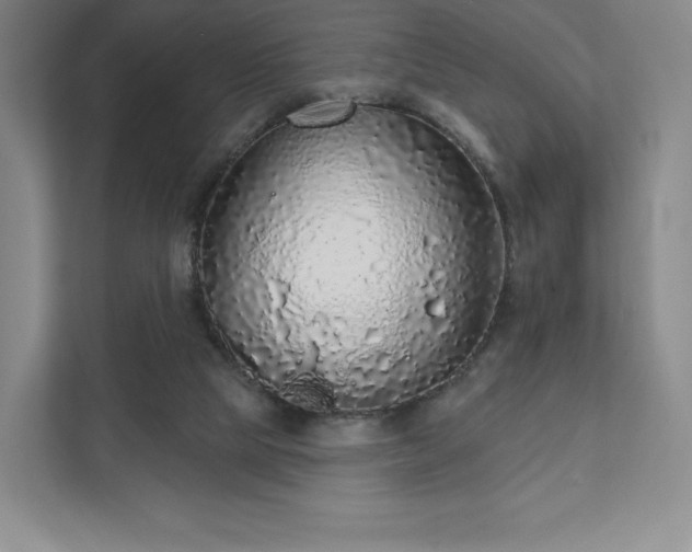 X0000111930065200908031126