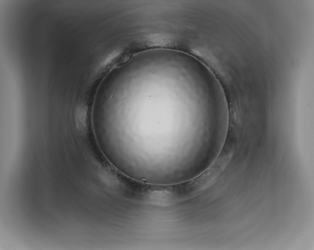 X0000111930066200908031126