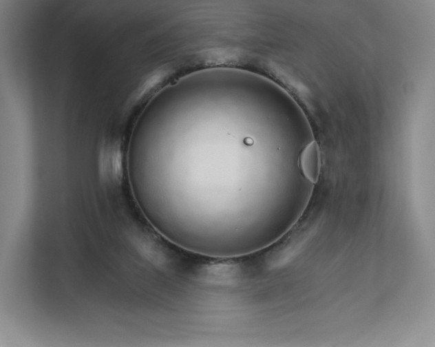 X0000111930067200908031126