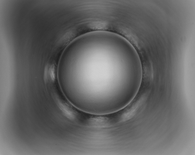 X0000111930069200908031126