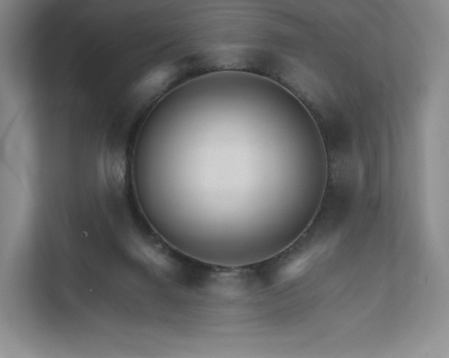 X0000111930072200908031126