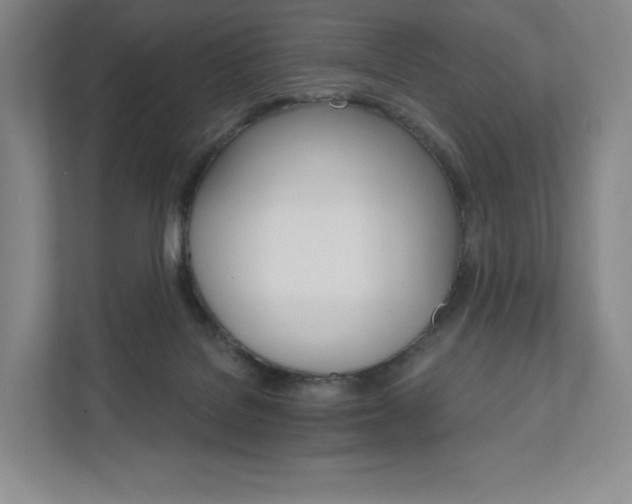 X0000111930076200908031126