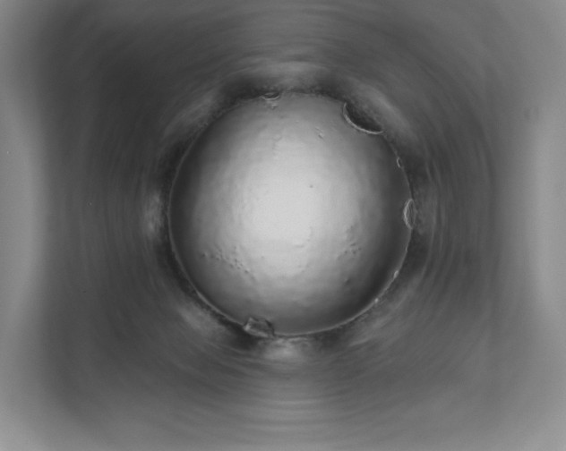 X0000111930077200908031126