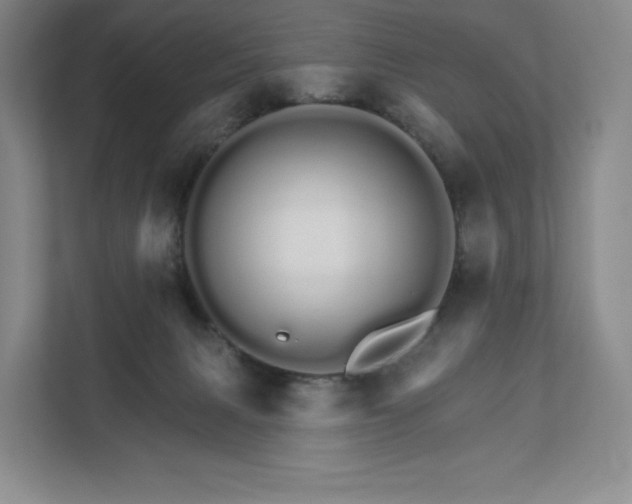 X0000111930079200908031126